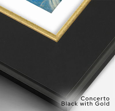 Holliday-O'Neal Bridge